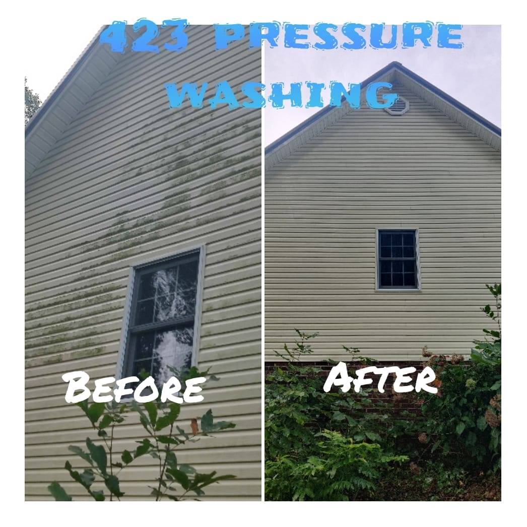 423 Pressure Washing Services