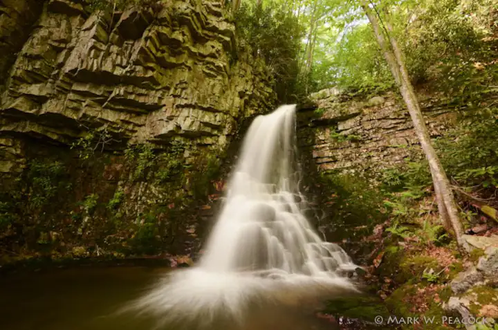 Entire cabin in Butler, Tennessee