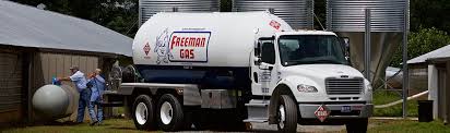 Freeman Gas