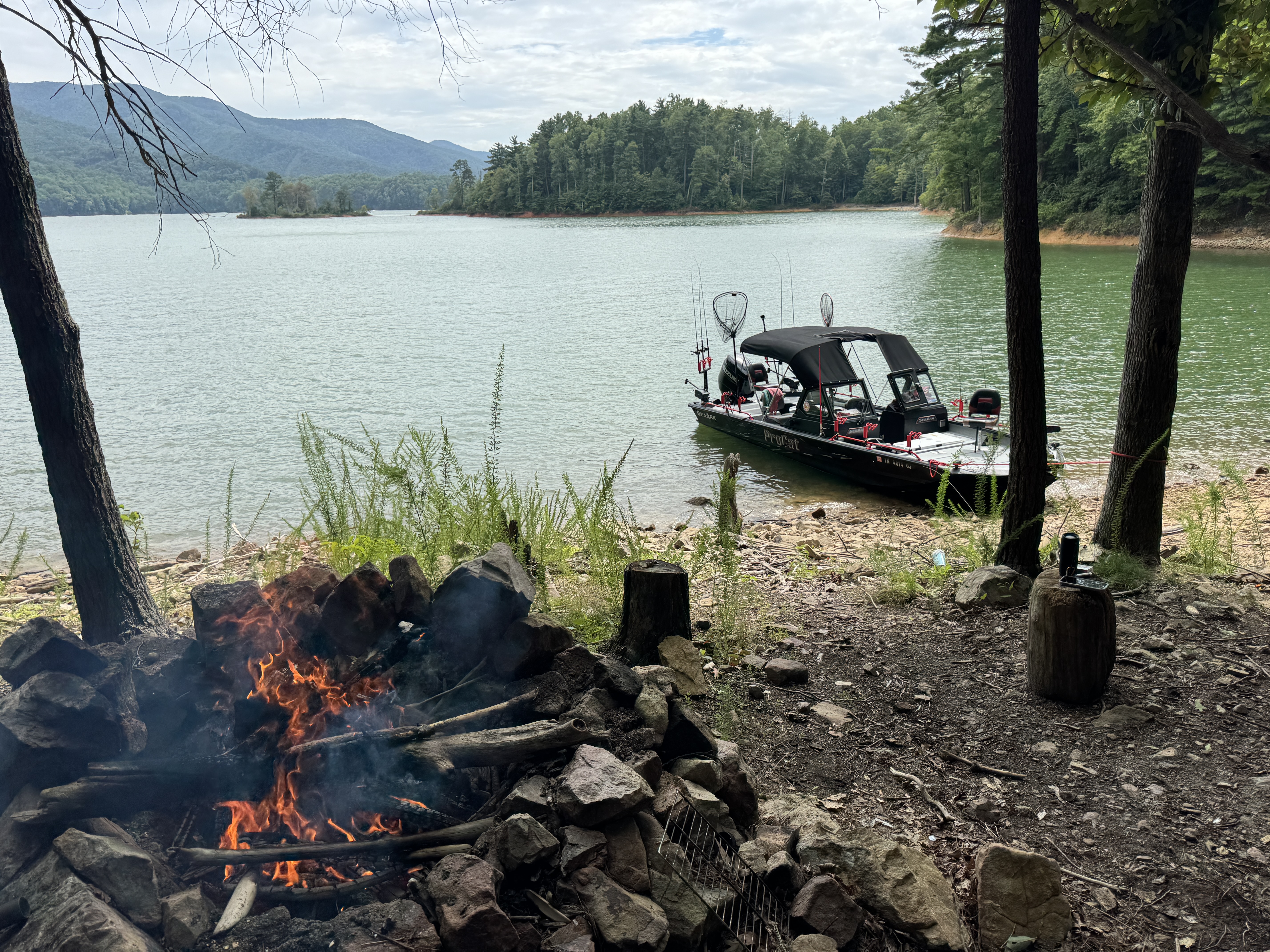 Watauga Lake Fishing Adventures logo