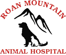 Roan Mountain Animal Hospital