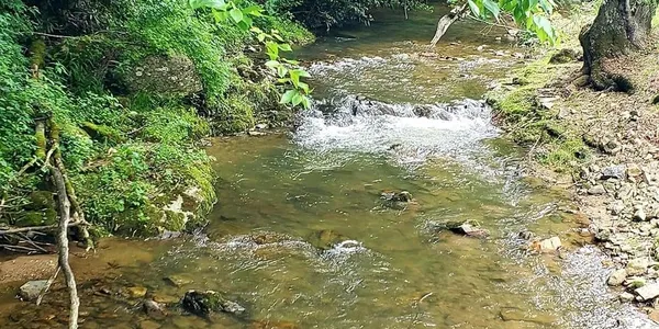 Two Creeks Campground & RV Park