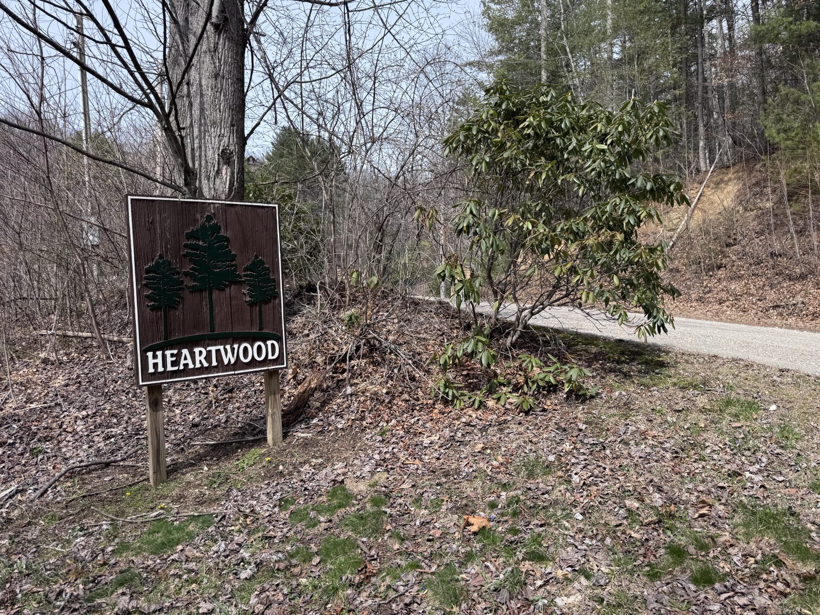 Heartwood community near Watauga Lake